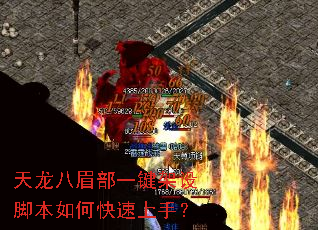 天龙八眉部一键架设脚本如何快速上手? 天龙八眉部一键架设脚本如何快速上手?