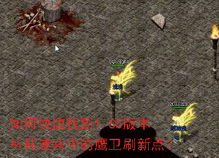 如何快速找到1.85版本丛林迷宫中的鹰卫刷新点? 如何快速找到1.85版本丛林迷宫中的鹰卫刷新点?