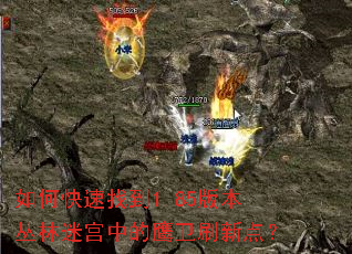 如何快速找到1.85版本丛林迷宫中的鹰卫刷新点? 如何快速找到1.85版本丛林迷宫中的鹰卫刷新点?