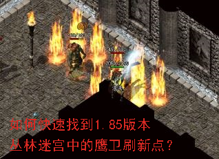 如何快速找到1.85版本丛林迷宫中的鹰卫刷新点? 如何快速找到1.85版本丛林迷宫中的鹰卫刷新点?