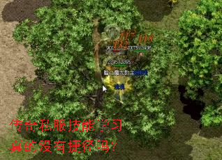 传奇私服技能学习真的没有捷径吗? 传奇私服技能学习真的没有捷径吗?