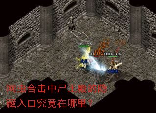 网虫合击中尸王殿的隐藏入口究竟在哪里? 网虫合击中尸王殿的隐藏入口究竟在哪里?