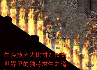 生存技艺大比拼?传奇世界里的独特求生之道 生存技艺大比拼?传奇世界里的独特求生之道