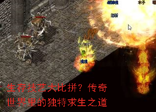 生存技艺大比拼?传奇世界里的独特求生之道 生存技艺大比拼?传奇世界里的独特求生之道
