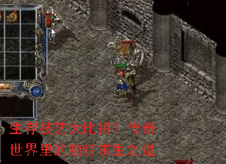 生存技艺大比拼?传奇世界里的独特求生之道 生存技艺大比拼?传奇世界里的独特求生之道