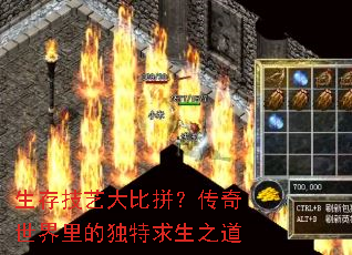 生存技艺大比拼?传奇世界里的独特求生之道 生存技艺大比拼?传奇世界里的独特求生之道