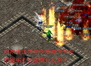 内功连击传奇中热血传奇怀旧服书页到底有什么用? 内功连击传奇中热血传奇怀旧服书页到底有什么用?