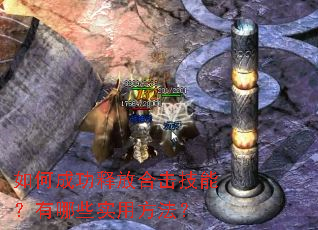 如何成功释放合击技能?有哪些实用方法? 如何成功释放合击技能?有哪些实用方法?