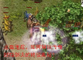 龙血迷踪,如何解锁传奇烈焰剑诀的终极奥秘? 龙血迷踪,如何解锁传奇烈焰剑诀的终极奥秘?