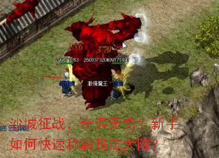 沙城征战,奇遇无穷?新手如何快速称霸玛法大陆? 沙城征战,奇遇无穷?新手如何快速称霸玛法大陆?