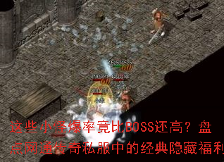 ��ЩС�ֱ��ʾ���BOSS���ߣ��̵���ͨ����˽���еľ������ظ���