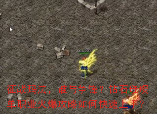 征战玛法,谁与争锋?钻石璀璨单职业火爆攻略如何快速上手? 征战玛法,谁与争锋?钻石璀璨单职业火爆攻略如何快速上手?
