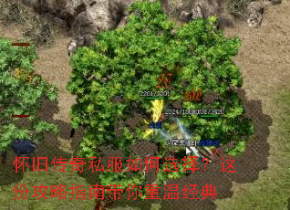 怀旧传奇私服如何选择?这份攻略指南带你重温经典 怀旧传奇私服如何选择?这份攻略指南带你重温经典