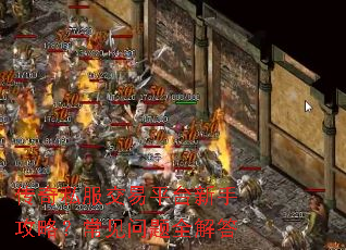 传奇私服交易平台新手攻略?常见问题全解答 传奇私服交易平台新手攻略?常见问题全解答