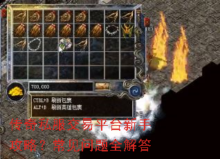 传奇私服交易平台新手攻略?常见问题全解答 传奇私服交易平台新手攻略?常见问题全解答