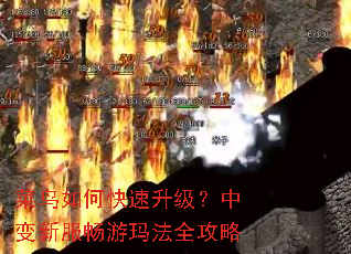 菜鸟如何快速升级?中变新服畅游玛法全攻略 菜鸟如何快速升级?中变新服畅游玛法全攻略