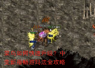 菜鸟如何快速升级?中变新服畅游玛法全攻略 菜鸟如何快速升级?中变新服畅游玛法全攻略