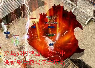 菜鸟如何快速升级?中变新服畅游玛法全攻略 菜鸟如何快速升级?中变新服畅游玛法全攻略
