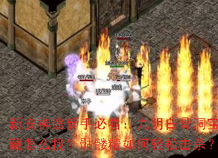 新安神途新手必看:九阴白骨洞宝藏怎么找?骷髅精如何轻松击杀? 新安神途新手必看:九阴白骨洞宝藏怎么找?骷髅精如何轻松击杀?