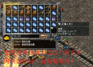 变态传奇私服怎么玩?新手如何快速升级?福利有哪些? 变态传奇私服怎么玩?新手如何快速升级?福利有哪些?