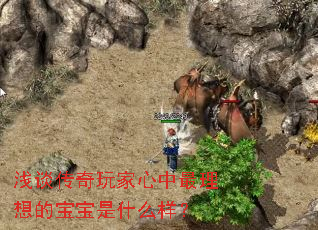 浅谈传奇玩家心中最理想的宝宝是什么样? 浅谈传奇玩家心中最理想的宝宝是什么样?