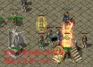 浅谈传奇玩家心中最理想的宝宝是什么样? 浅谈传奇玩家心中最理想的宝宝是什么样?