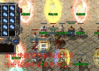 如何快速提升新仙魔九界传奇私服中的角色等级? 如何快速提升新仙魔九界传奇私服中的角色等级?