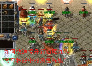 如何快速提升新仙魔九界传奇私服中的角色等级? 如何快速提升新仙魔九界传奇私服中的角色等级?