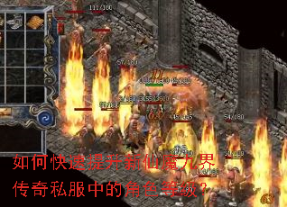 如何快速提升新仙魔九界传奇私服中的角色等级? 如何快速提升新仙魔九界传奇私服中的角色等级?