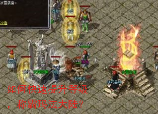 如何快速提升等级,称霸玛法大陆? 如何快速提升等级,称霸玛法大陆?