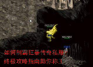 ����ưԿ񱩴���˽�����ռ�����ָ���������