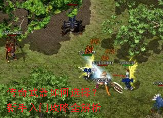 传奇武器如何选择?新手入门攻略全解析 传奇武器如何选择?新手入门攻略全解析