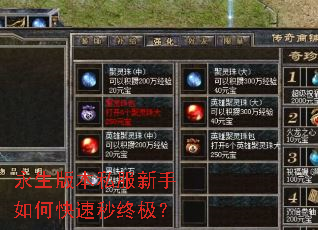永生版本私服新手如何快速秒终极? 永生版本私服新手如何快速秒终极?