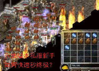 永生版本私服新手如何快速秒终极? 永生版本私服新手如何快速秒终极?