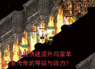 新手如何快速提升鸿蒙单职业传奇的等级与战力? 新手如何快速提升鸿蒙单职业传奇的等级与战力?
