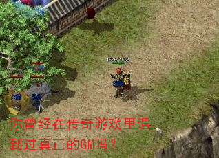 你曾经在传奇游戏里遇到过真正的GM吗? 你曾经在传奇游戏里遇到过真正的GM吗?