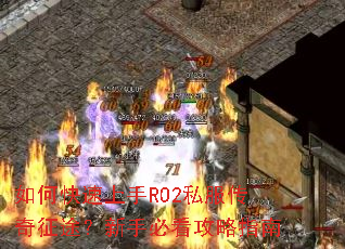 如何快速上手RO2私服传奇征途?新手必看攻略指南 如何快速上手RO2私服传奇征途?新手必看攻略指南