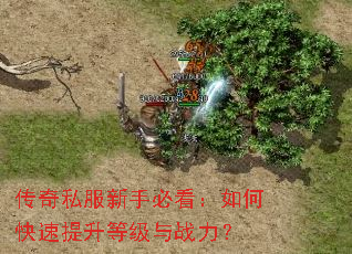 传奇私服新手必看:如何快速提升等级与战力? 传奇私服新手必看:如何快速提升等级与战力?