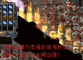 ����˽����ٷ�������ʲô�������ָ����ѡ��