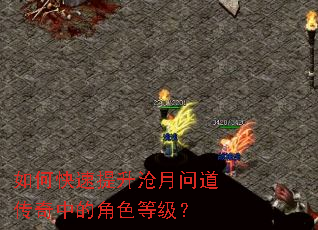 如何快速提升沧月问道传奇中的角色等级? 如何快速提升沧月问道传奇中的角色等级?