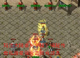 玛法大陆谁与争锋?揭秘传奇私服最强合击组合排名 玛法大陆谁与争锋?揭秘传奇私服最强合击组合排名