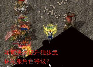如何快速提升独步武林私服角色等级? 如何快速提升独步武林私服角色等级?