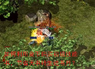 如何利用金币购买初级技能书,节省天书转生进苍月? 如何利用金币购买初级技能书,节省天书转生进苍月?