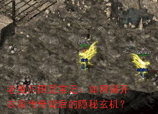 老叟归田觅宝记:如何揭开农家传奇背后的隐秘玄机? 老叟归田觅宝记:如何揭开农家传奇背后的隐秘玄机?