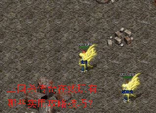 三国杀传奇在线玩有哪些实用攻略技巧? 三国杀传奇在线玩有哪些实用攻略技巧?