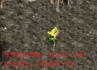 传奇游戏攻略:从新手入门到进阶实战,你准备好了吗? 传奇游戏攻略:从新手入门到进阶实战,你准备好了吗?
