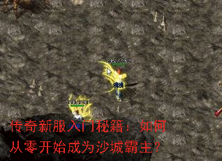 传奇新服入门秘籍:如何从零开始成为沙城霸主? 传奇新服入门秘籍:如何从零开始成为沙城霸主?