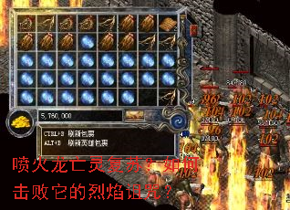 ��������鸴�գ���λ��������������䣿