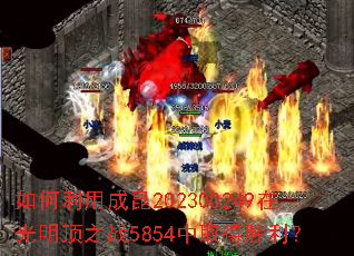 如何利用成昆202300249在光明顶之战5854中取得胜利? 如何利用成昆202300249在光明顶之战5854中取得胜利?