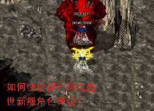 如何快速提升玛法盛世新服角色等级? 如何快速提升玛法盛世新服角色等级?